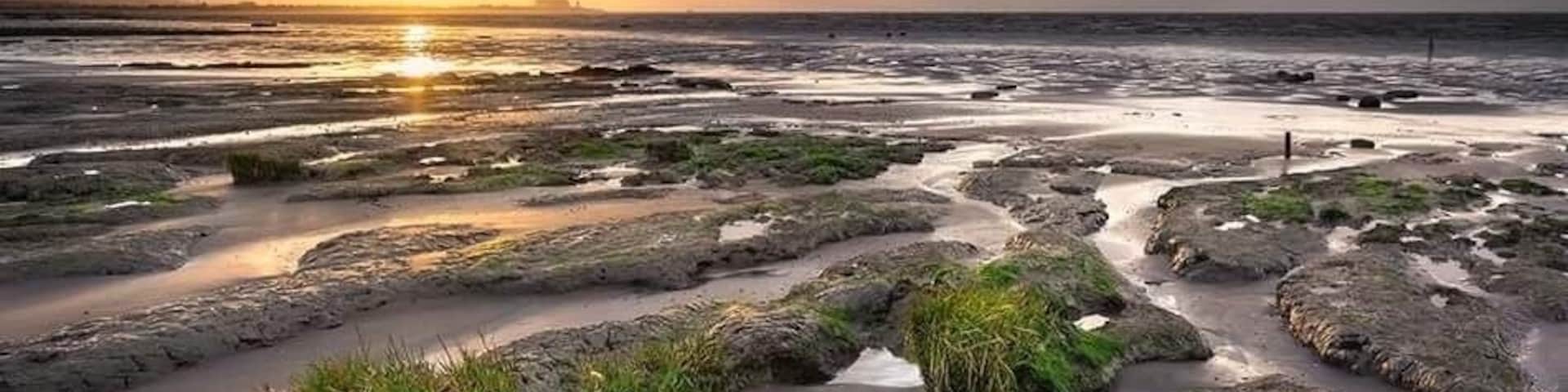 Images captured at steart beach at sunset...