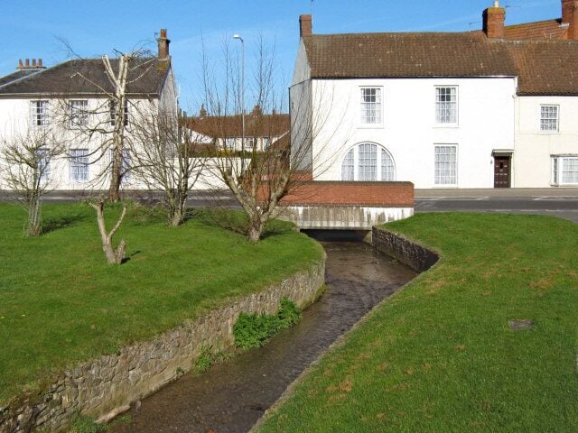 Stream in North Petherton
