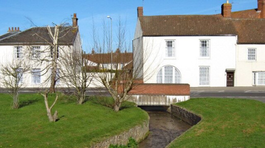 Stream in North Petherton