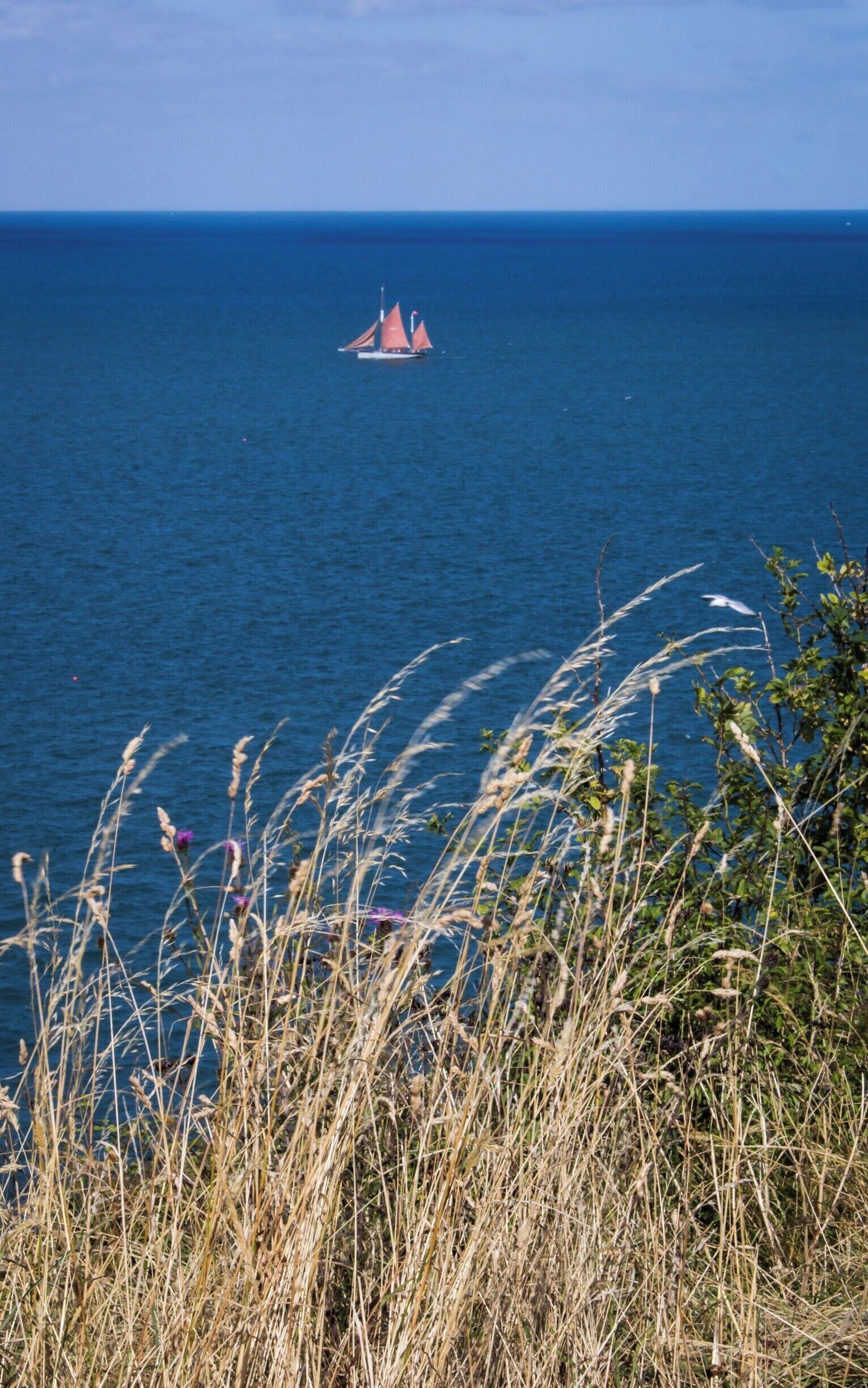 Along a nice walk through the nature reserve, this fancy-looking red-sailed boat showed up off the coast.