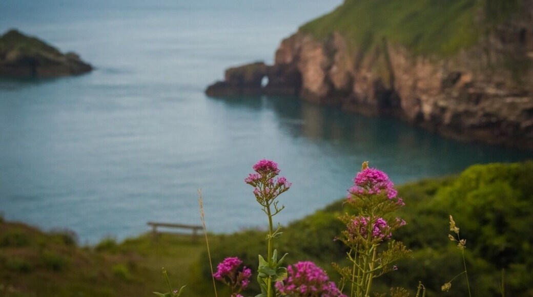 Berry Head is a gateway to English riviera and guards the southern half of Tor Bay