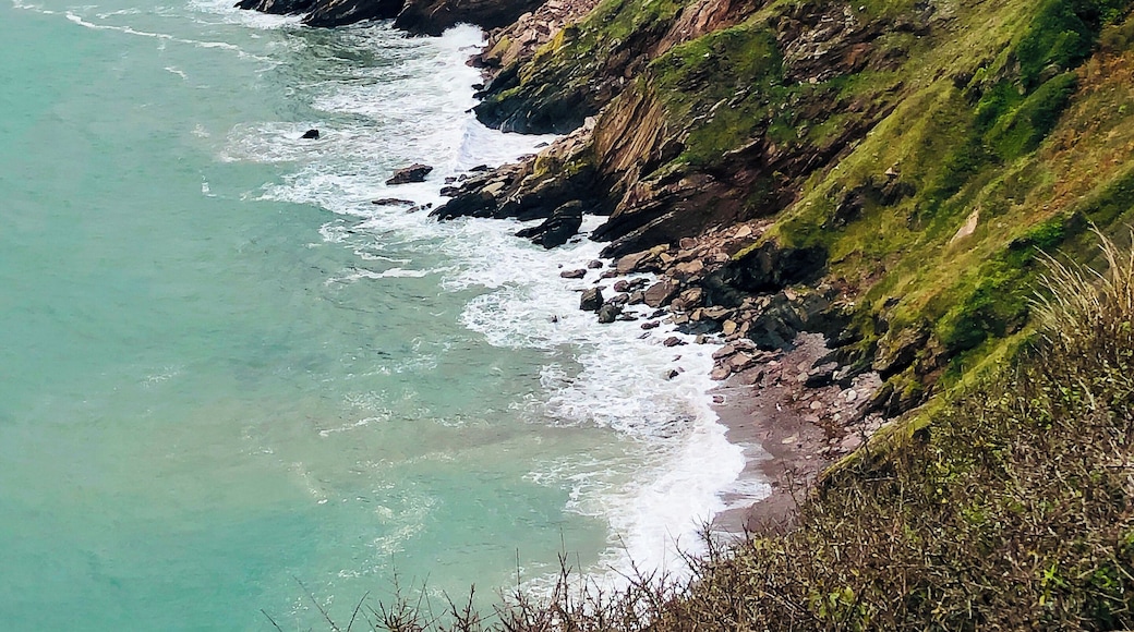 From Berryhead looking west. Quick grab with an iphone