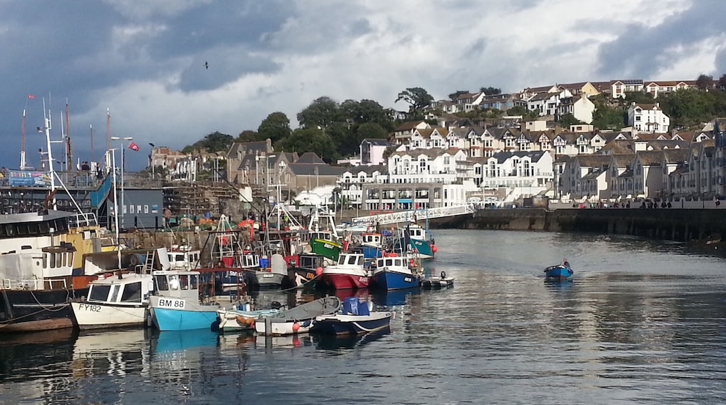 Fabulous place to see fishing boats of all sizes and shapes with great skies and reflections.
#BVSBlue