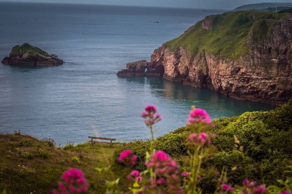 Paisaje costero con acantilados, una pequeña isla y flores rosadas en primer plano.