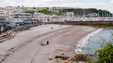 View at Breakwater beach in Devon. Brixham, Devon, UK, June 10, 2024.