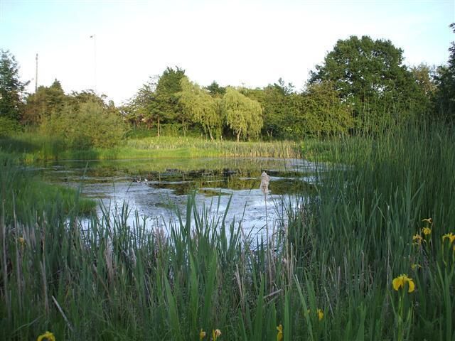Bromsgrove A pond beside the Holiday Inn