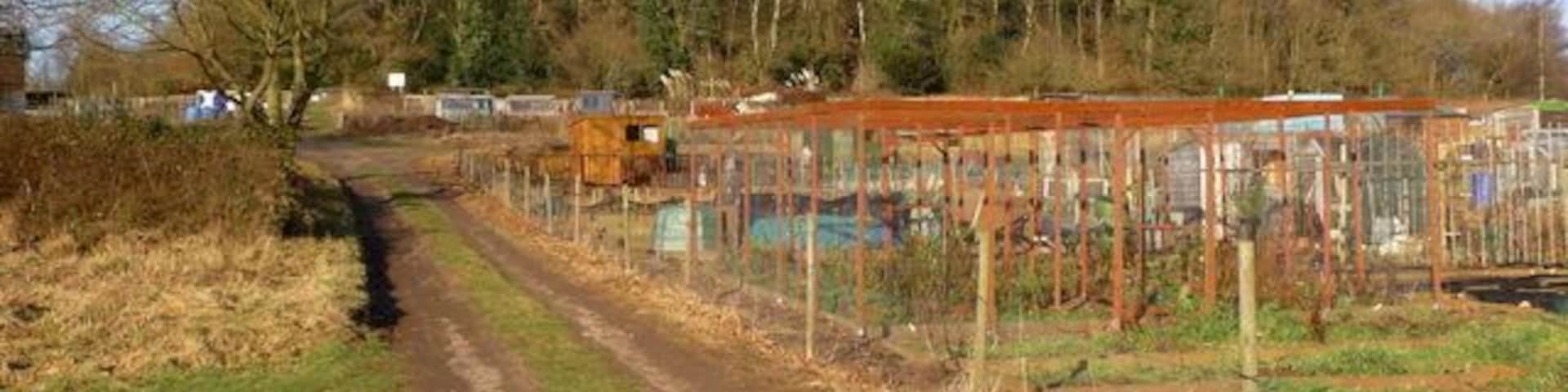 Allotments on southern slope of Lickey Hills. As viewed from the local road called Staple Flat, aptly named as it skirts "Staple Hill". In the background is a piece of ancient woodland called "Round Hill Wood".