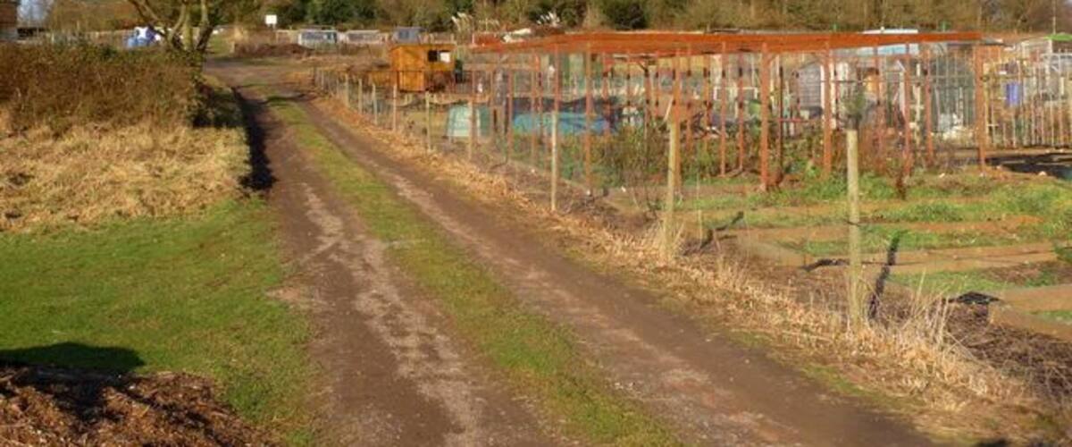 A rural path leading to a fenced area with buildings and trees in the background.