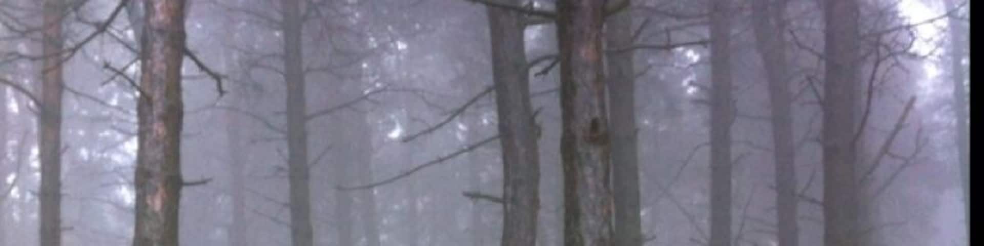 Season of Mists - Beacon Hill, Lickey