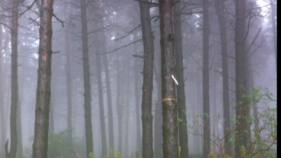 Season of Mists - Beacon Hill, Lickey