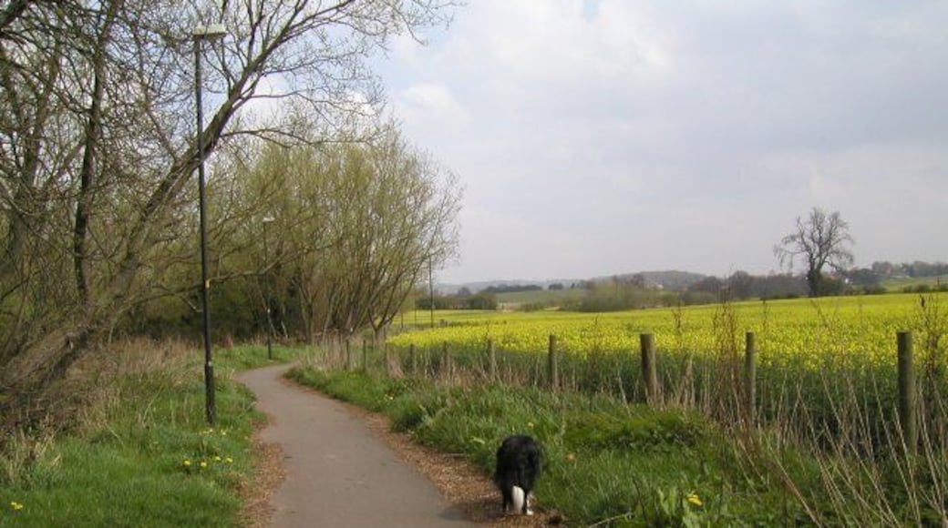 Catshill. A footpath leading from Catshill village towards the M42