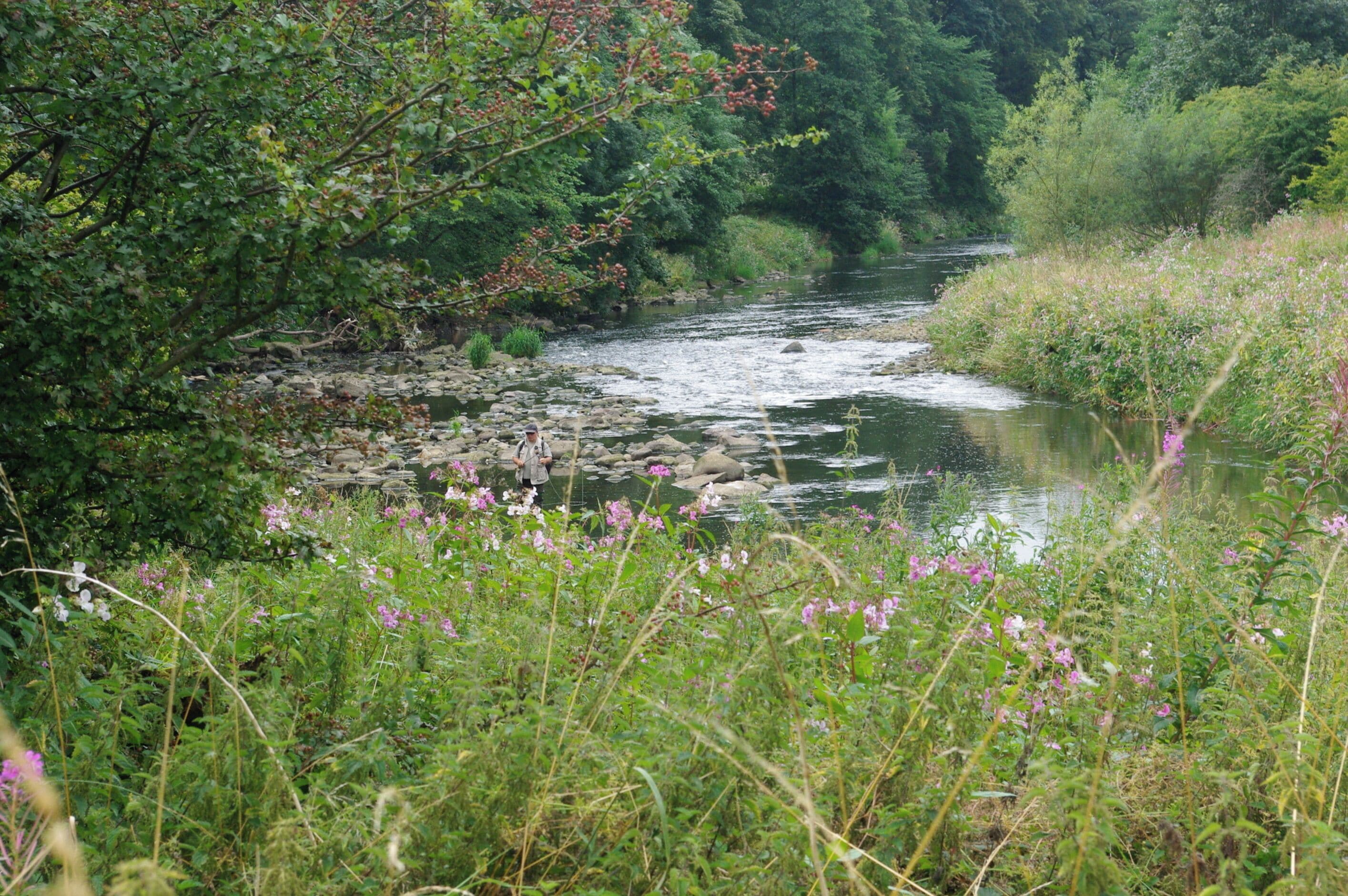 River Calder, Gawthorpe hall