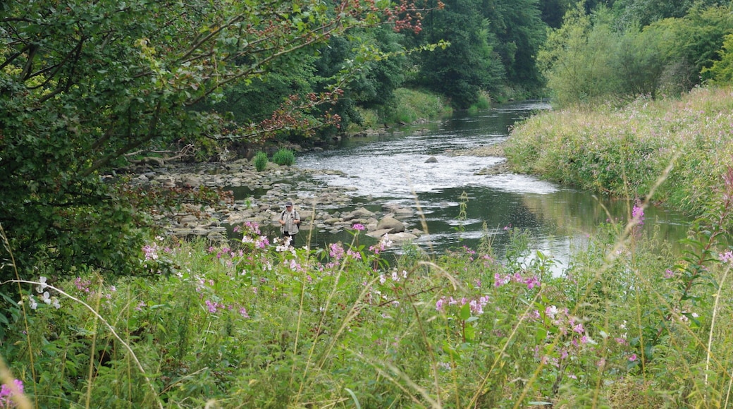 River Calder, Gawthorpe hall