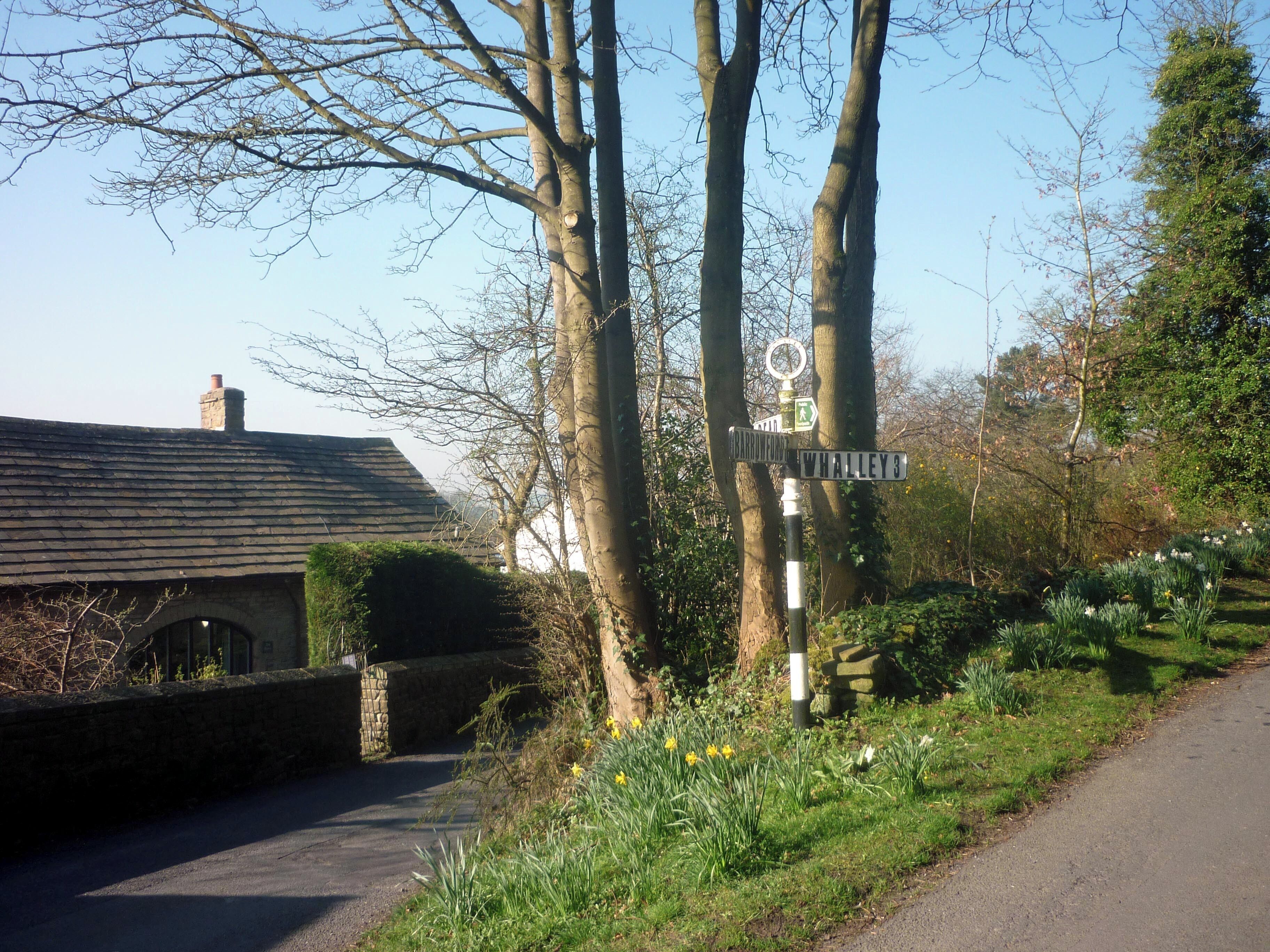 A rural road with a directional signpost, a stone house, and blooming daffodils.