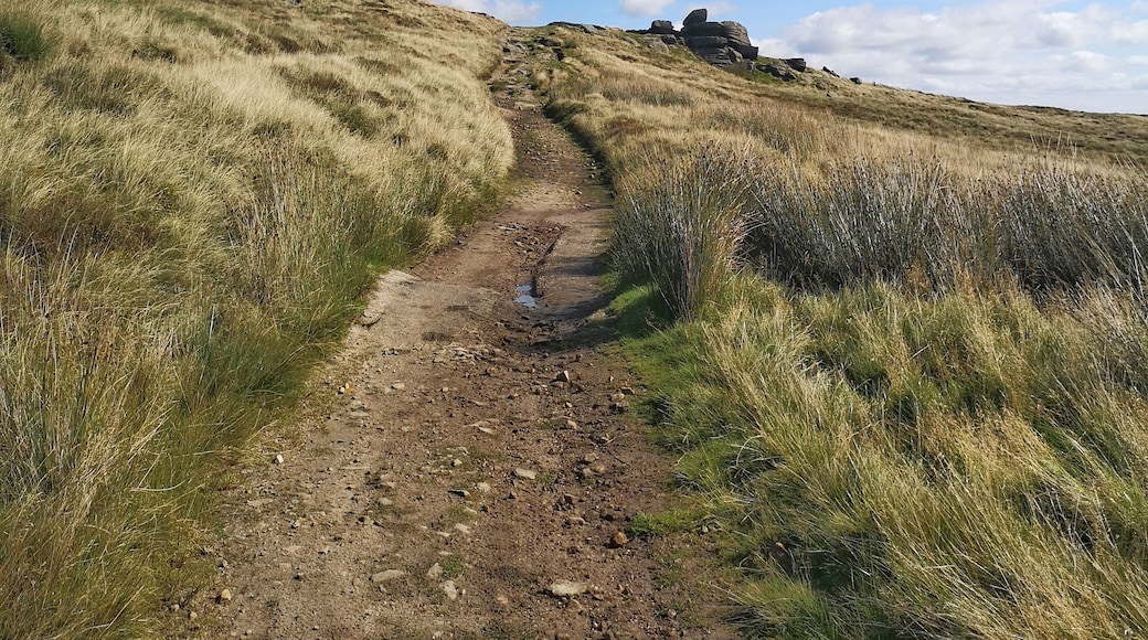 Strike out along the gorple road from Worsthorne reservoir and you'll end up at these rocks above the upper gorple reservoir.