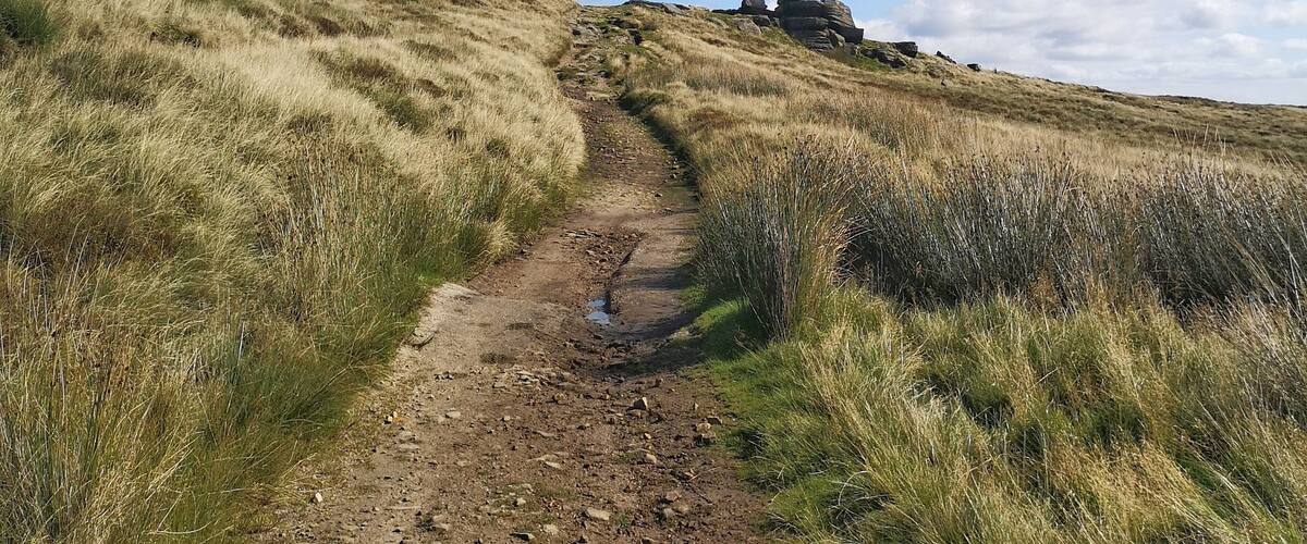 A dirt path winding through a grassy hillside under a blue sky with scattered clouds.