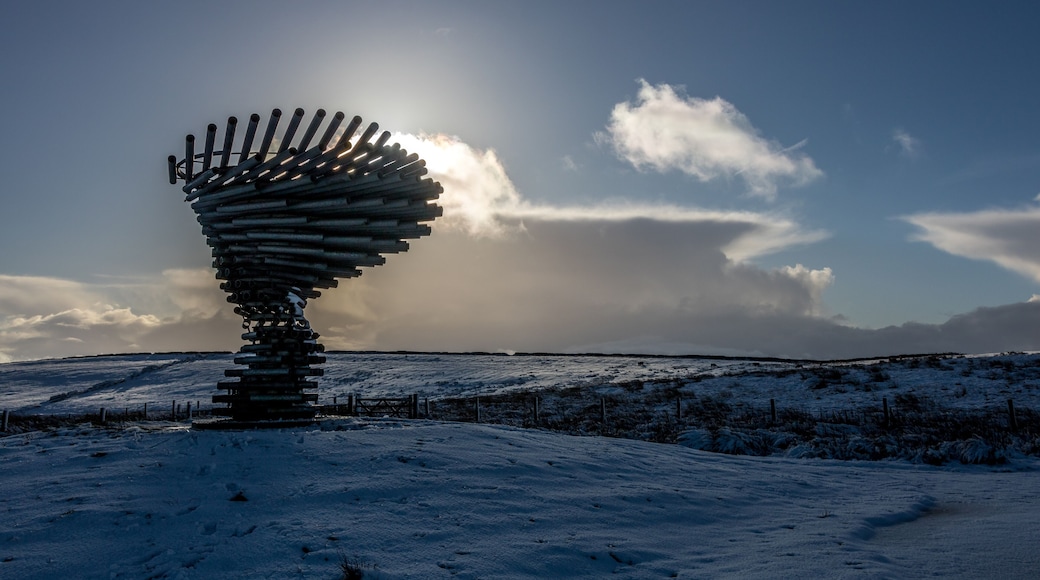 Sunset on Ring Tree full with clouds and snow around