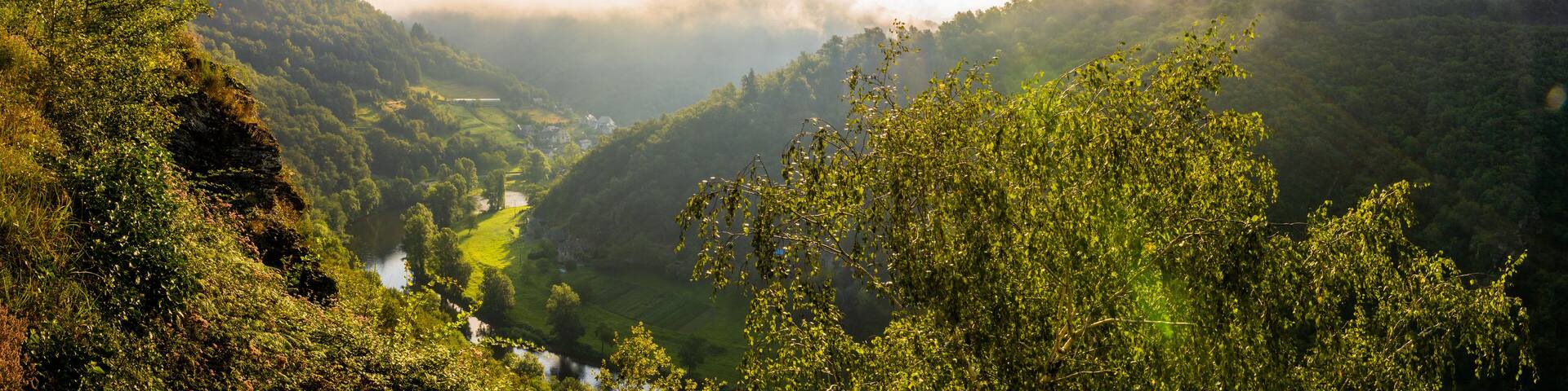 Cassaniouze, vallée du Lot, Cantal, Aveyron, Auvergne-Rhône-Alpes, France