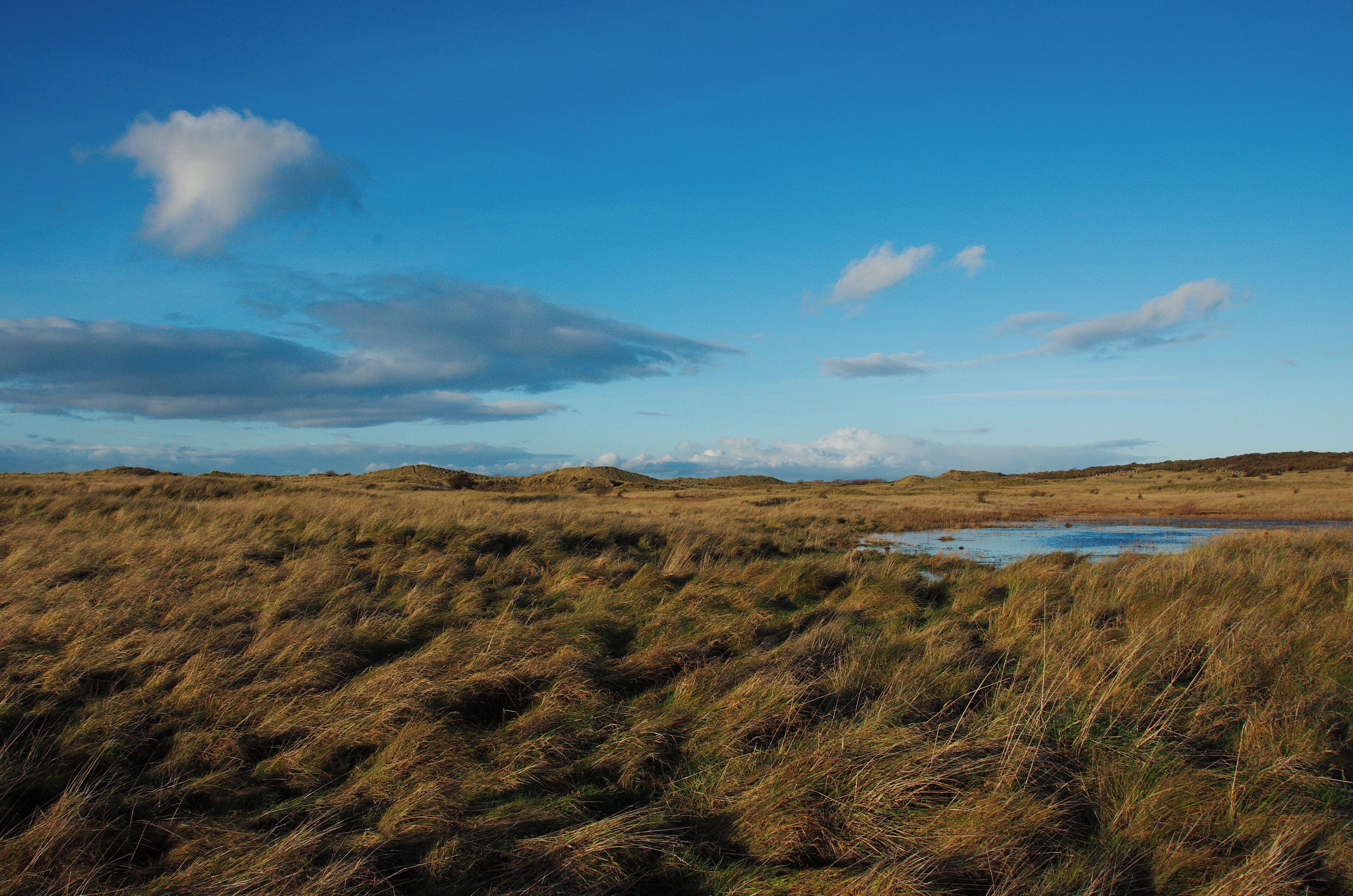Aberlady Beach