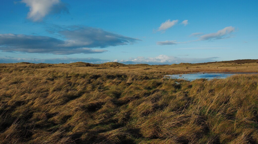 Aberlady Beach