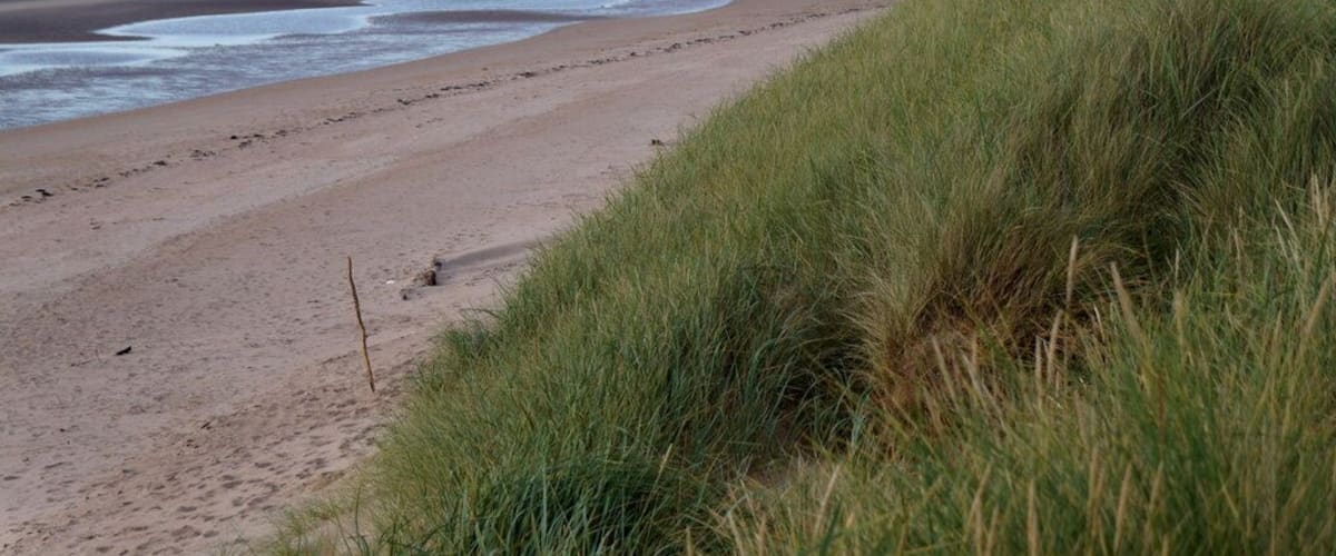 The coastline at Aberlady Bay