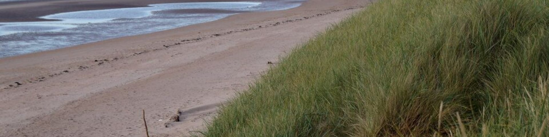 The coastline at Aberlady Bay