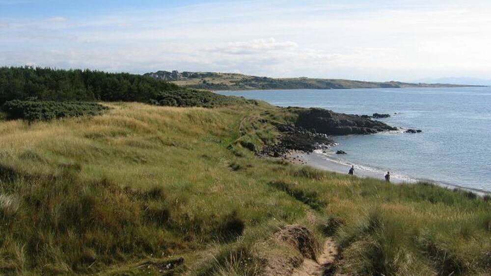 Eine Küstenlandschaft mit grasbewachsenen Dünen, einem Sandstrand und einem ruhigen Meer.