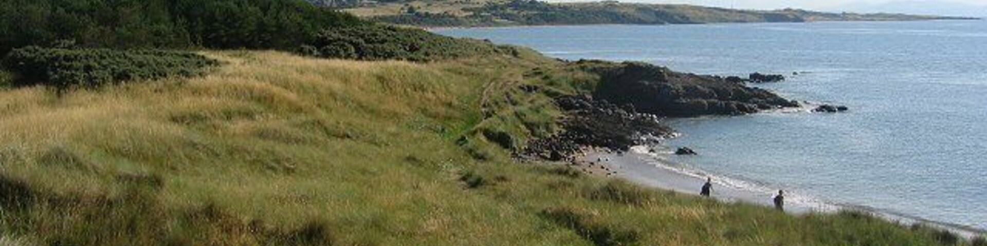 Un paisaje costero con dunas cubiertas de hierba, una playa de arena y un mar tranquilo.