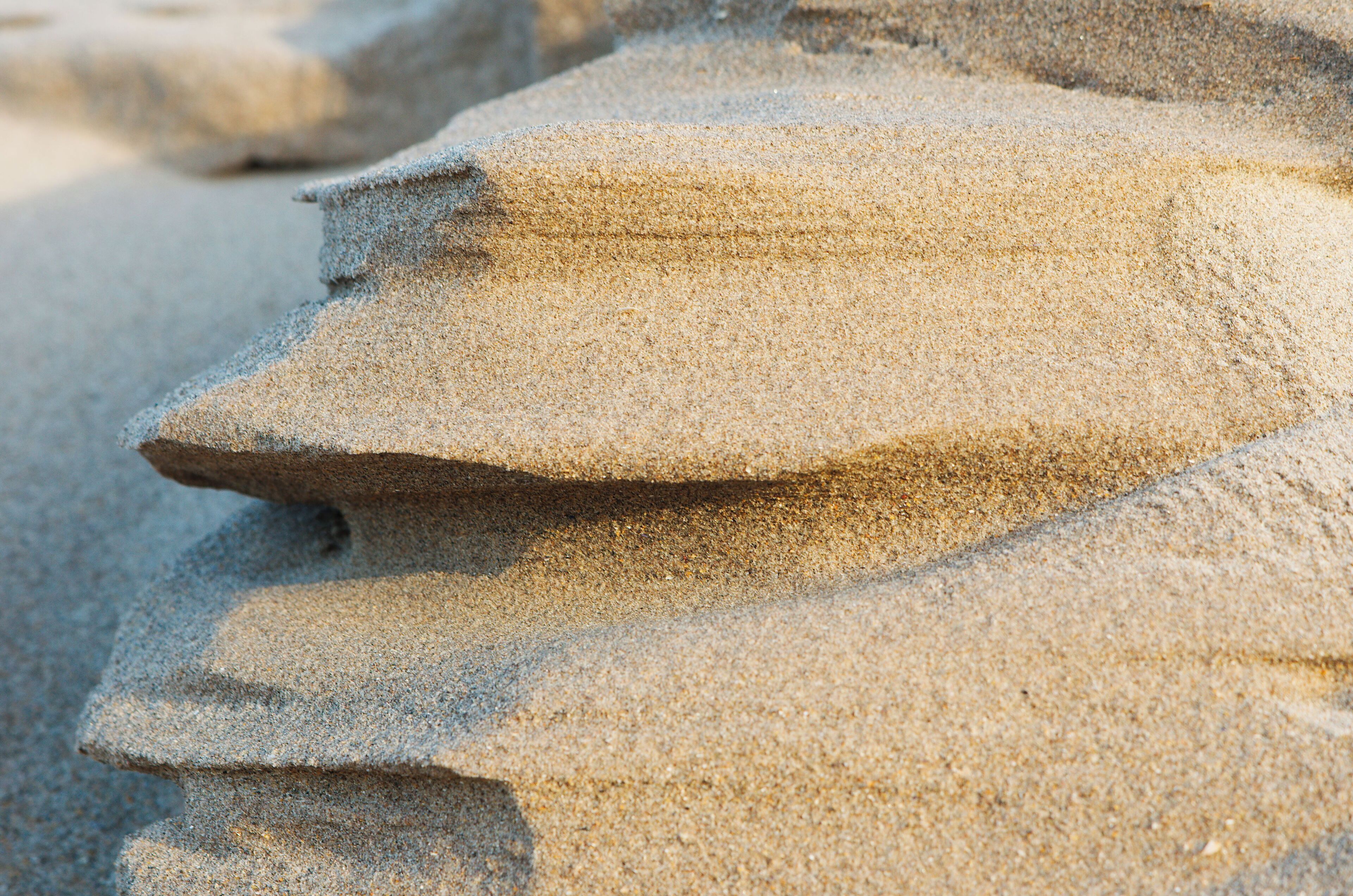 beach closeups Aberlady Beach