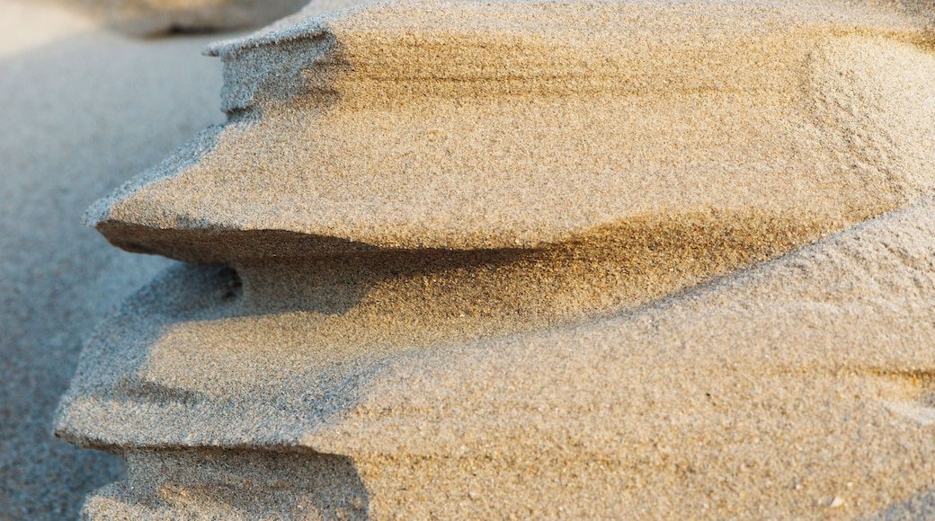 beach closeups Aberlady Beach