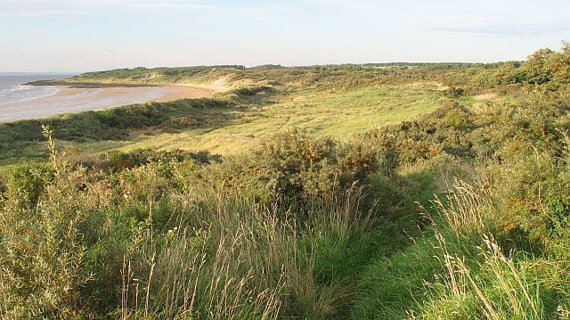 A coastal landscape with a sandy beach, grassy dunes, and a clear view of the ocean.