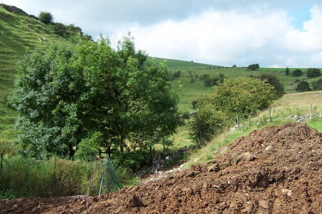 View Down Valley Near Dale End
