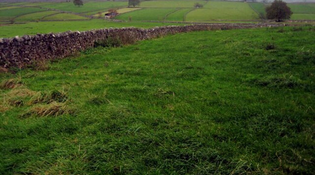 Fields above Tideswell This is limestone wall country with the fields used mainly for grazing cattle and sheep.