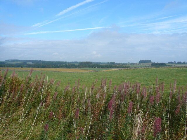 High Peak Trail View