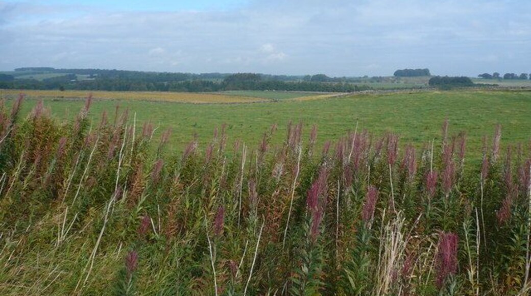 High Peak Trail View