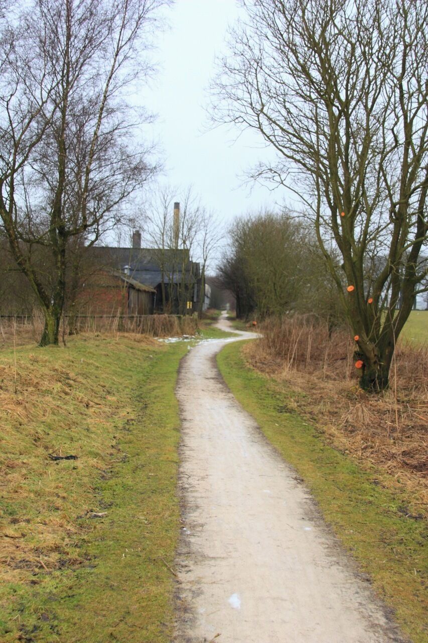 A narrow rural path flanked by leafless trees and a distant house.