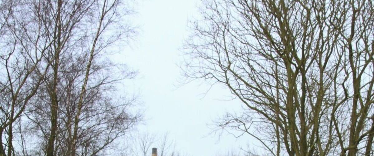 A narrow rural path flanked by leafless trees and a distant house.