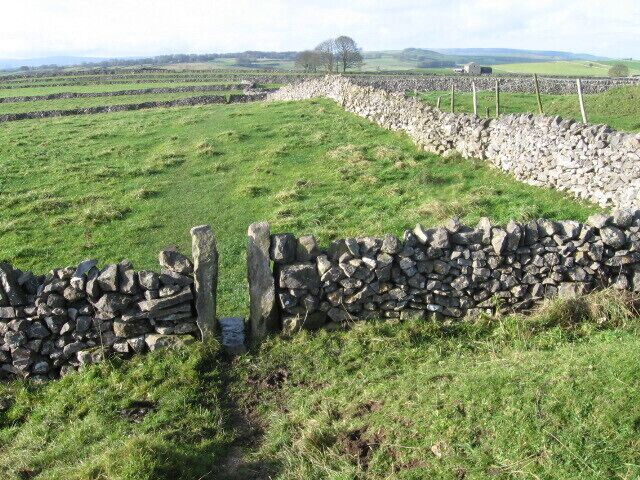 Footpath towards Monk's Dale