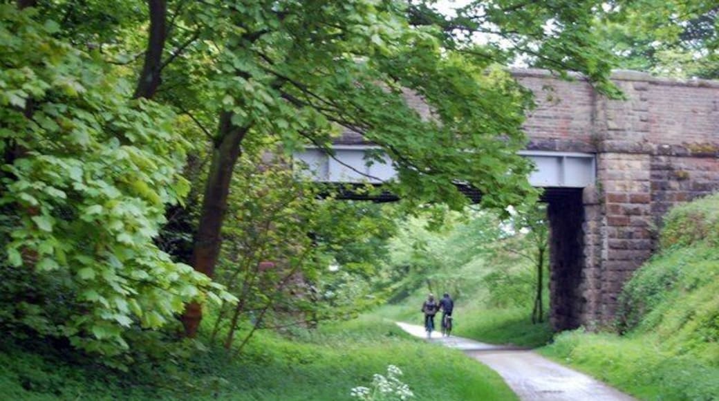 Tissington Trail, Bridge near Heathcote The trail passes under this former railway bridge.