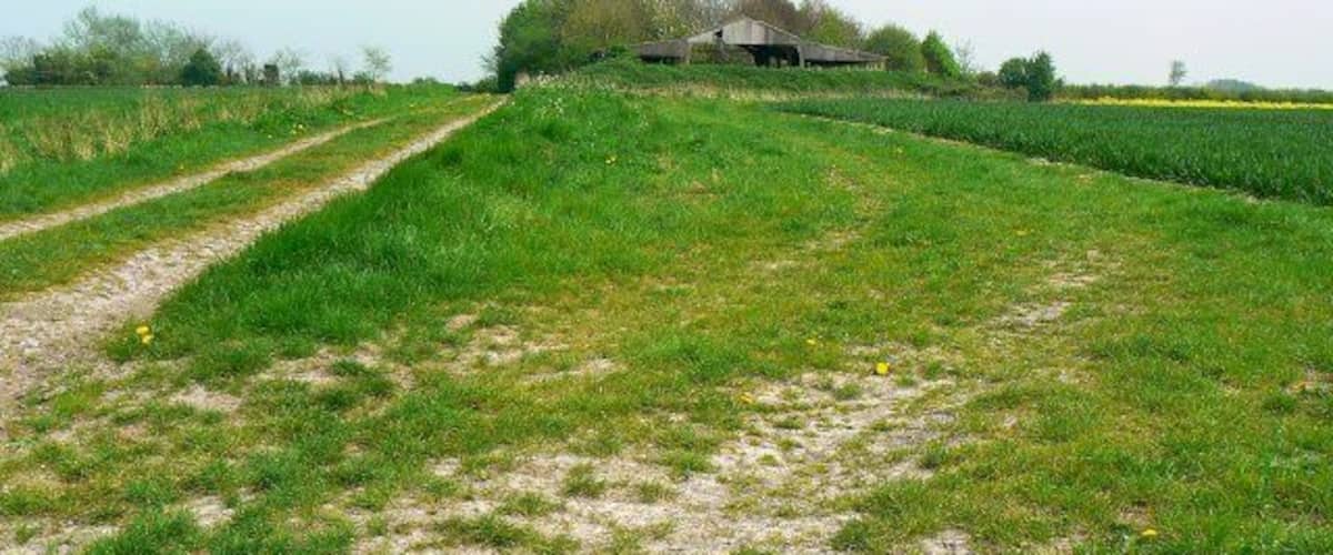 A rural landscape with a dirt path leading to a building surrounded by fields.