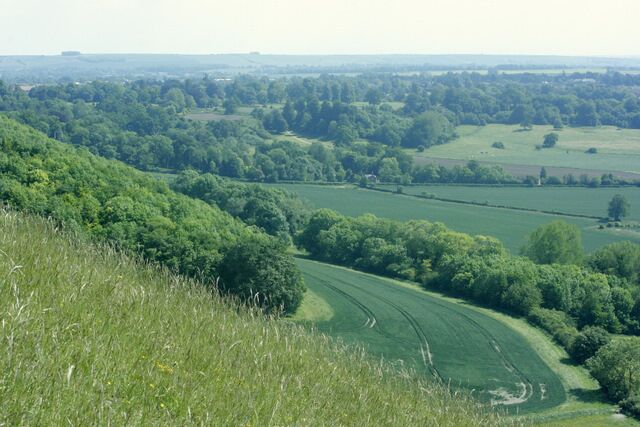 South from the slopes of Oliver's Castle. A field of new wheat lies at the bottom of the hill, 1338935 is just out of the frame at bottom right. The north western escarpment of Salisbury Plain fills the skyline. The Westbury White Horse is a little way out of shot to the right.