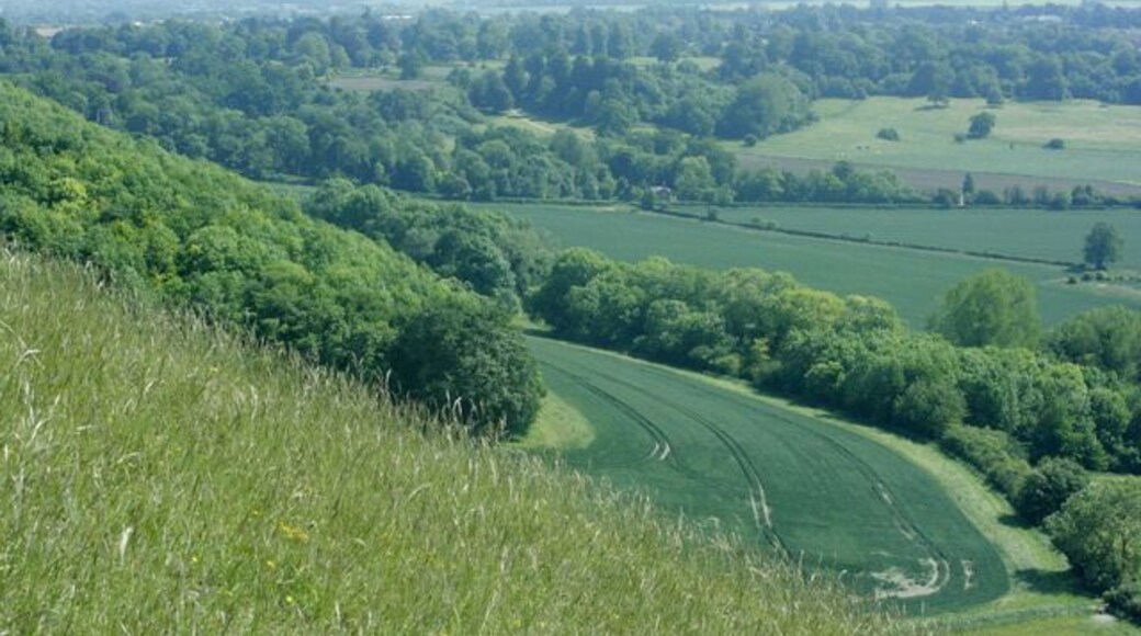 South from the slopes of Oliver's Castle. A field of new wheat lies at the bottom of the hill, 1338935 is just out of the frame at bottom right. The north western escarpment of Salisbury Plain fills the skyline. The Westbury White Horse is a little way out of shot to the right.