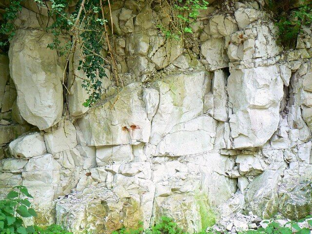 Chalk-face viewed from bridleway, Compton Bassett The bridleway is cut through the chalk escarpment. The chalk is very soft and friable.
