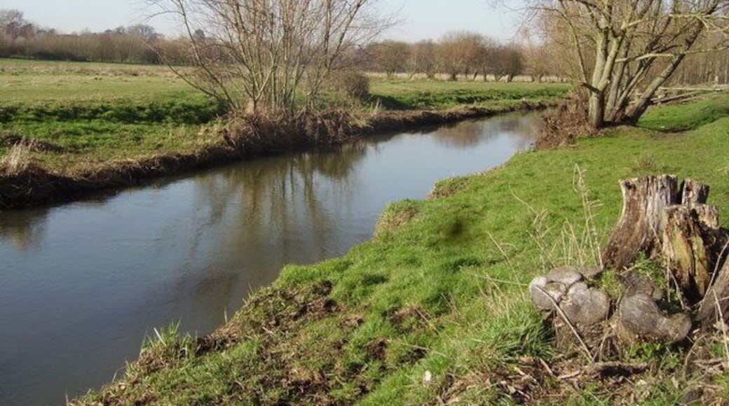River Blackwater at Hawley Meadows