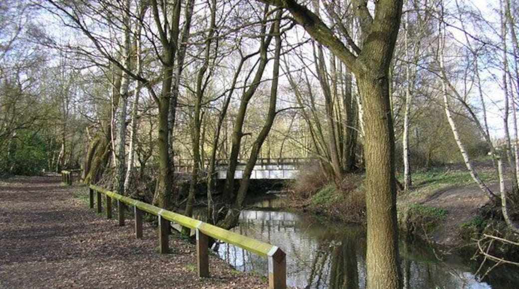 Bridge over River Blackwater Public footpath by the River Blackwater and small bridge over the river.