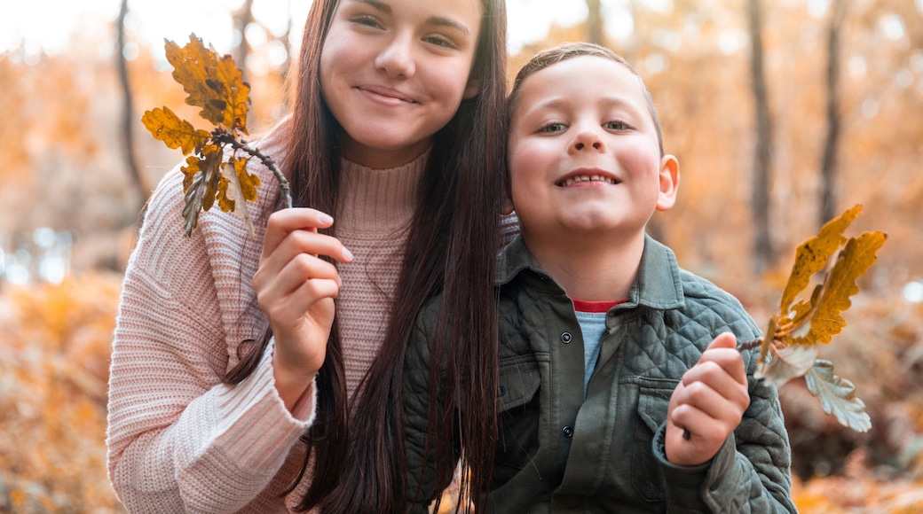 Brother and sister holding dry leaves while standing in Cannock Chase park during autumn
