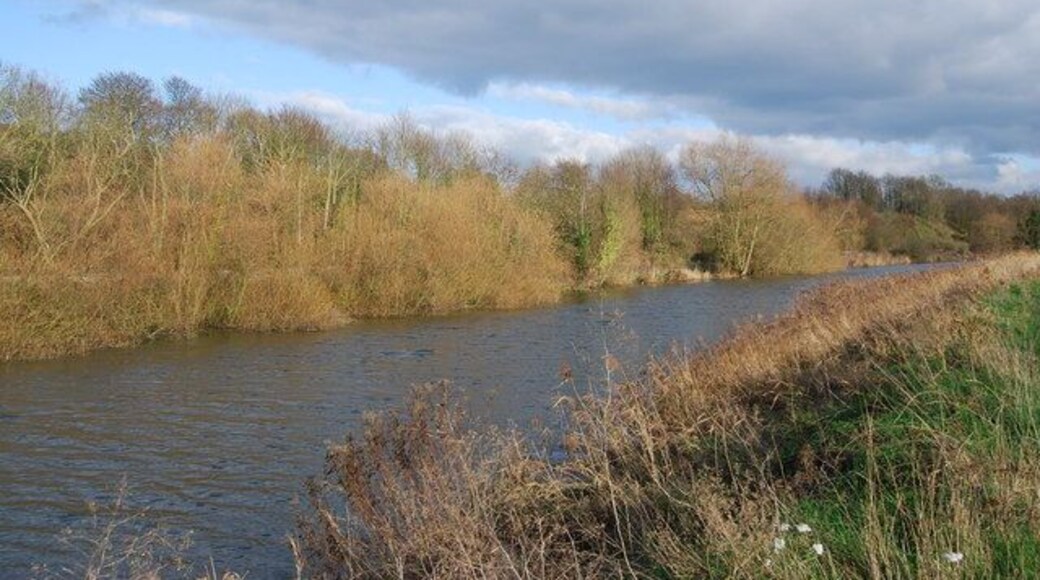 The Great Stour