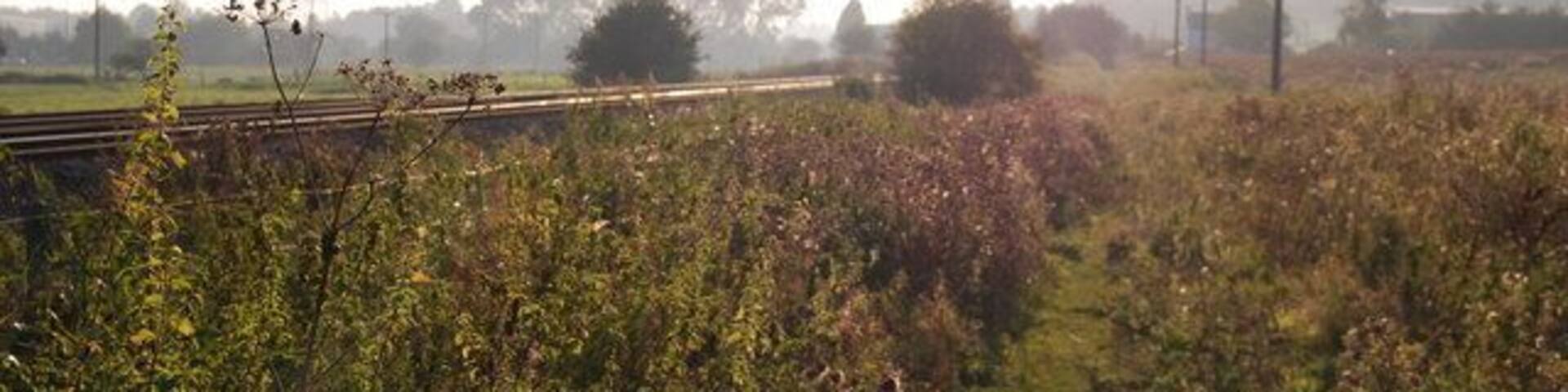 Railway line crossing the meadows