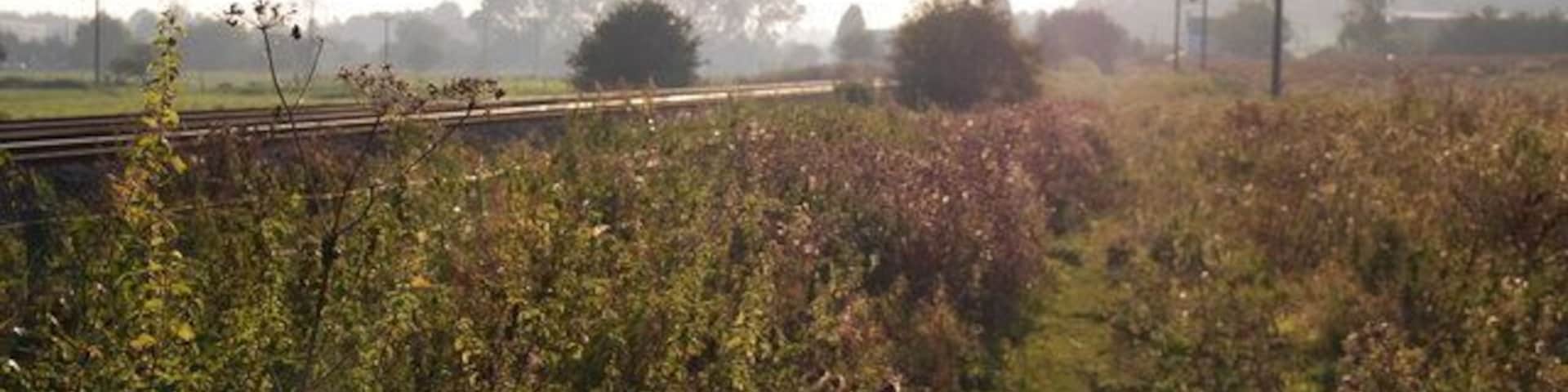A rural landscape with a railway track, fields, and distant trees.