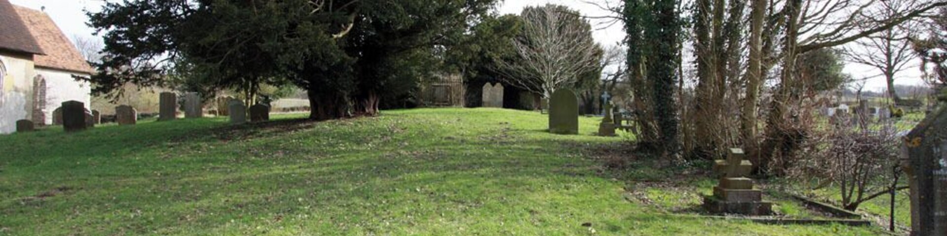 Un cementerio con lápidas, un árbol grande y una iglesia al fondo.